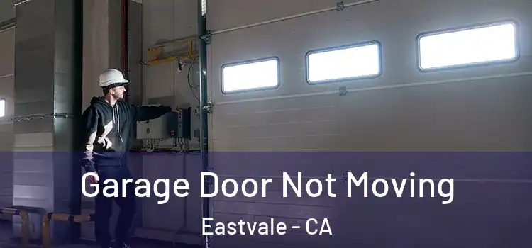  Garage Door Not Moving Eastvale - CA
